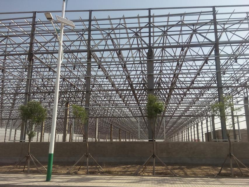 新沂汽车工业厂房网架